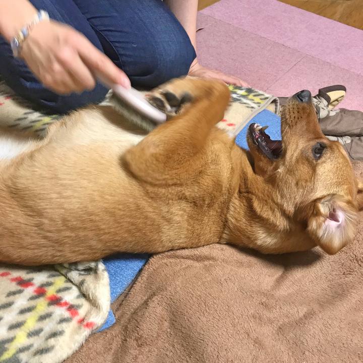 371f9560 ef5f 400c b1b9 d555c74b16a6 1526994554199