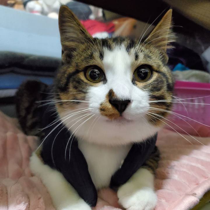 371fb15d b8c7 49be ad3c 3f3352d042bd 1735620017294