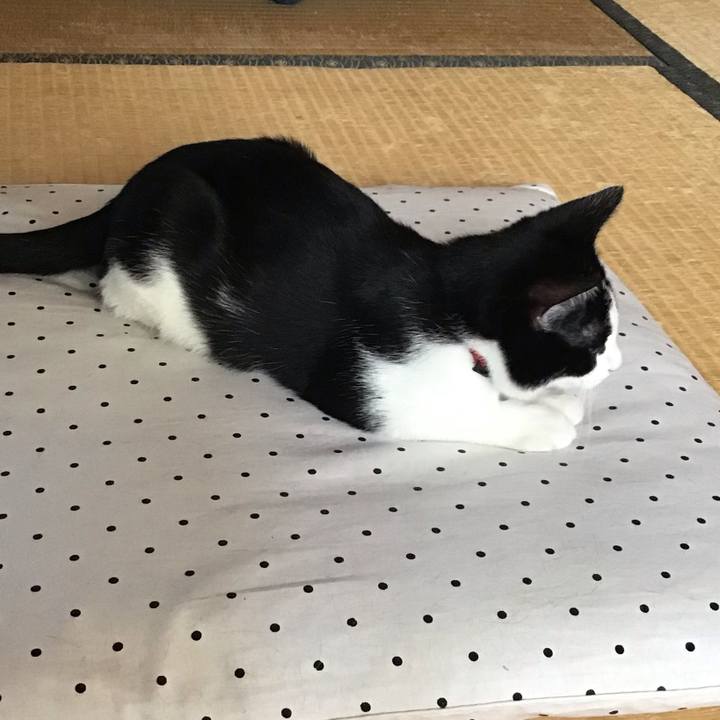 371fea06 f88f 4945 a8c2 2893f8dfe3e0 1627870910185