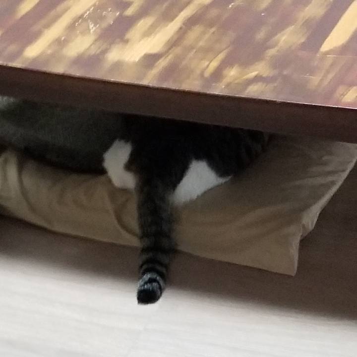 37200246 e67e 48f5 b5e8 03d831573b82 1614202439898