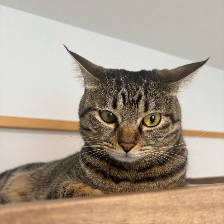 3720333d 5704 44ae 9995 80993e431563 1759974453110