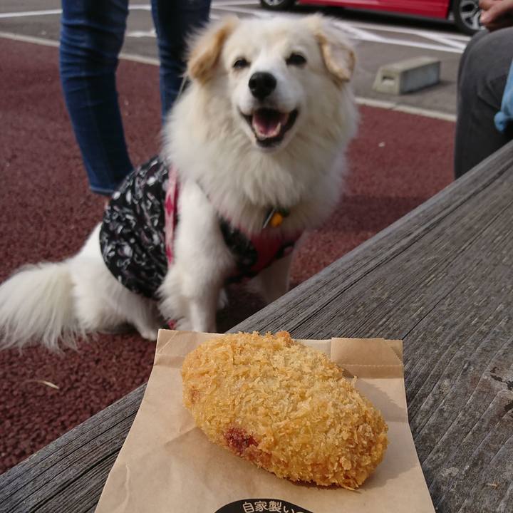 372039a8 c225 4b87 8df5 e1b19e33c2aa 1540590099790