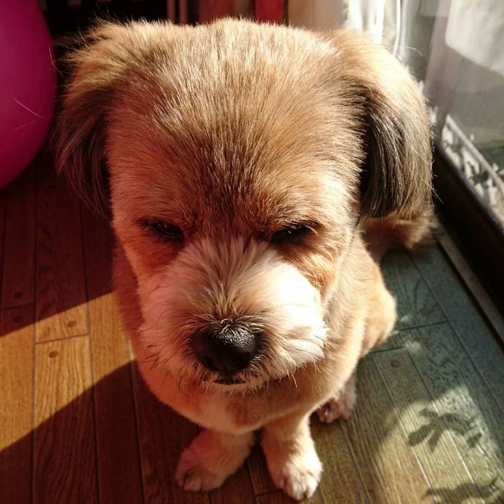 3720605f 76cc 4754 82c0 cf3c90ae45c0 1523141758563