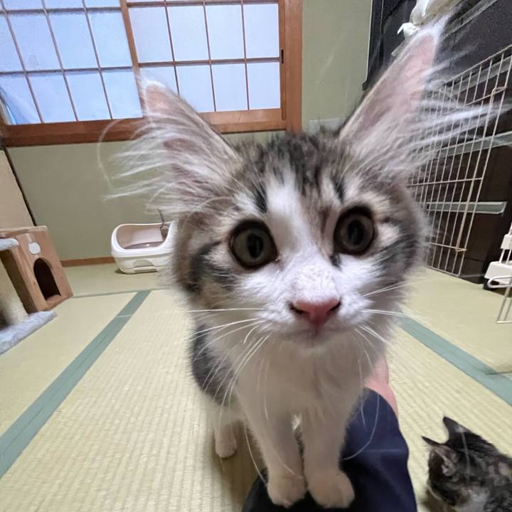 37208a45 5b8b 4e49 a5a4 88559df85fb8 1688942505899