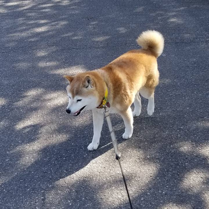 37209370 ec51 49b6 8cc7 00e42a7584ba 1682586050569