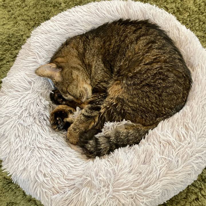 3720b9bb c352 48d6 bfe9 dc83ea46345e 1687165111439