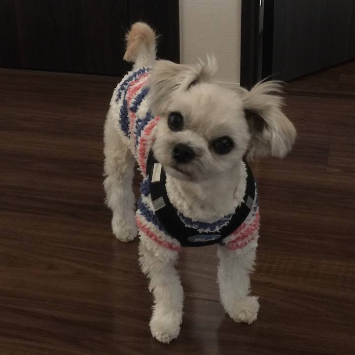 3720f8c4 461e 4b7f 8d5a fea2ce8e01cf 1517135857792