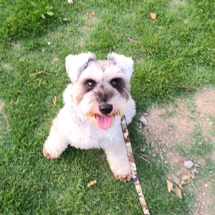 372123a6 2cec 42c0 9864 ee8b008db7d2 1531868933650