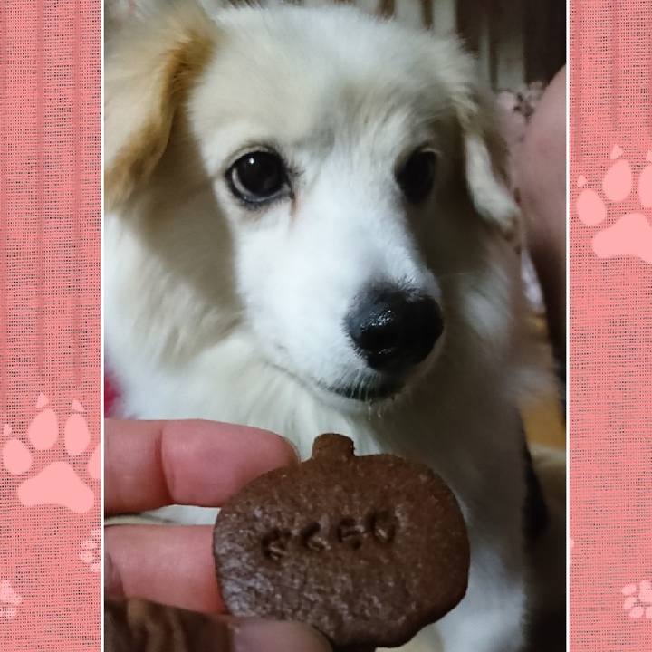 37212e23 5c28 4285 878f af2b9374401d 1540678063420