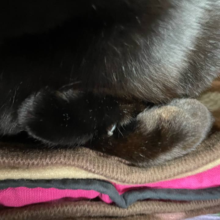 37214304 b307 43d9 beff 8ad1c42042c5 1769659973437