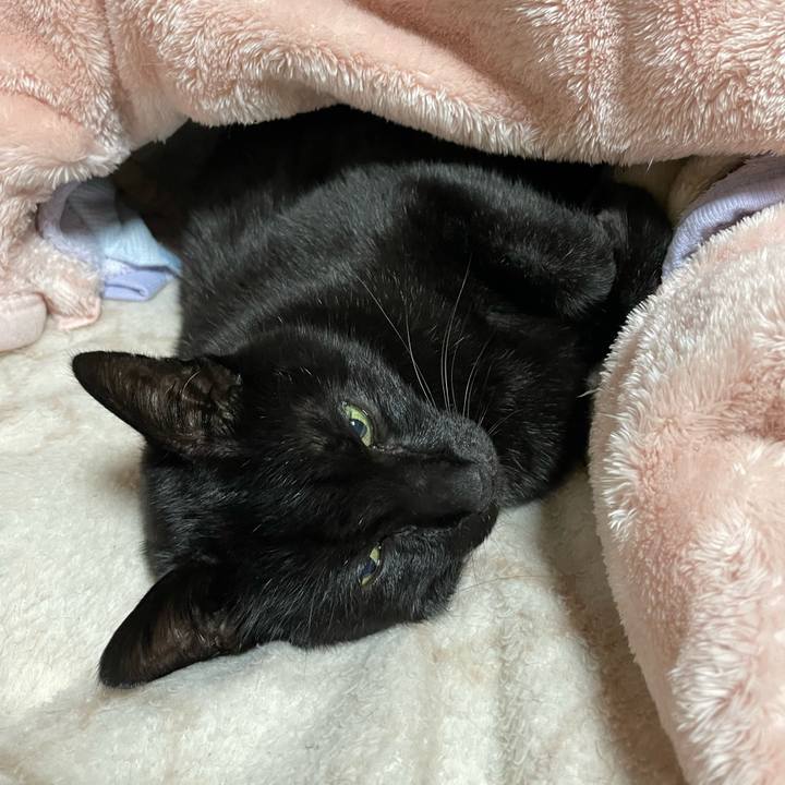 37214526 65bf 433f 837b da4fd313dc88 1646101457954