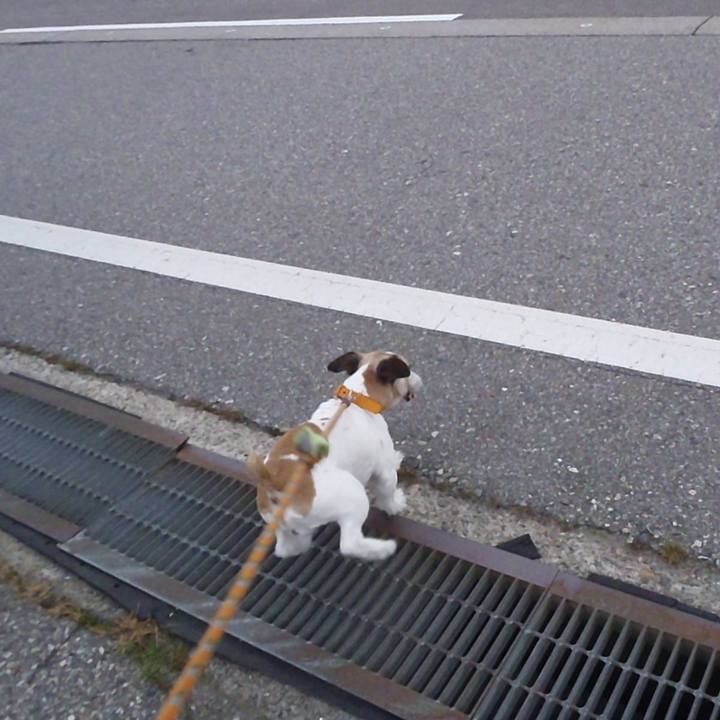 372161e6 d39b 4642 8ea1 45cb02ffa6bf 1530615188166