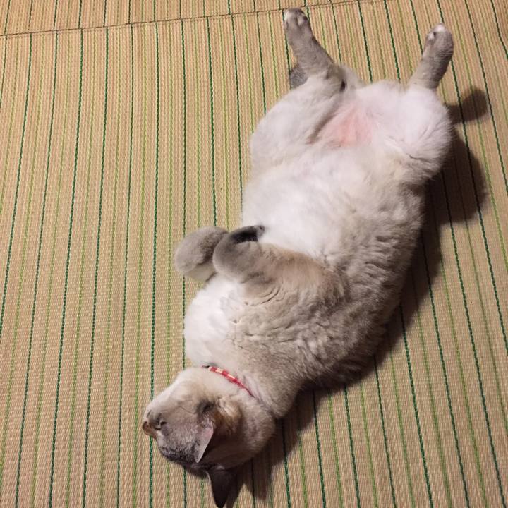 372198b6 adb9 4aef ad2b 7e67bfbc16ca 1537096132321