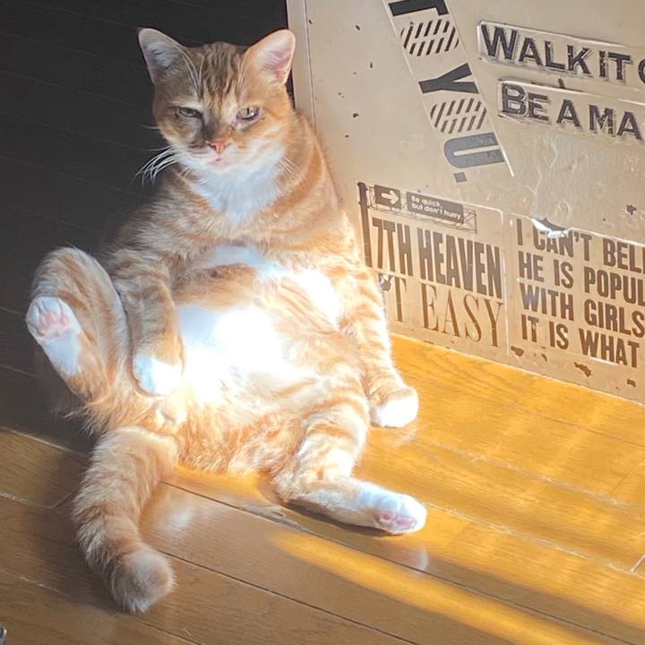 37219ccf 7e4b 42cb 84e8 5675eebff3f2 1578624231607