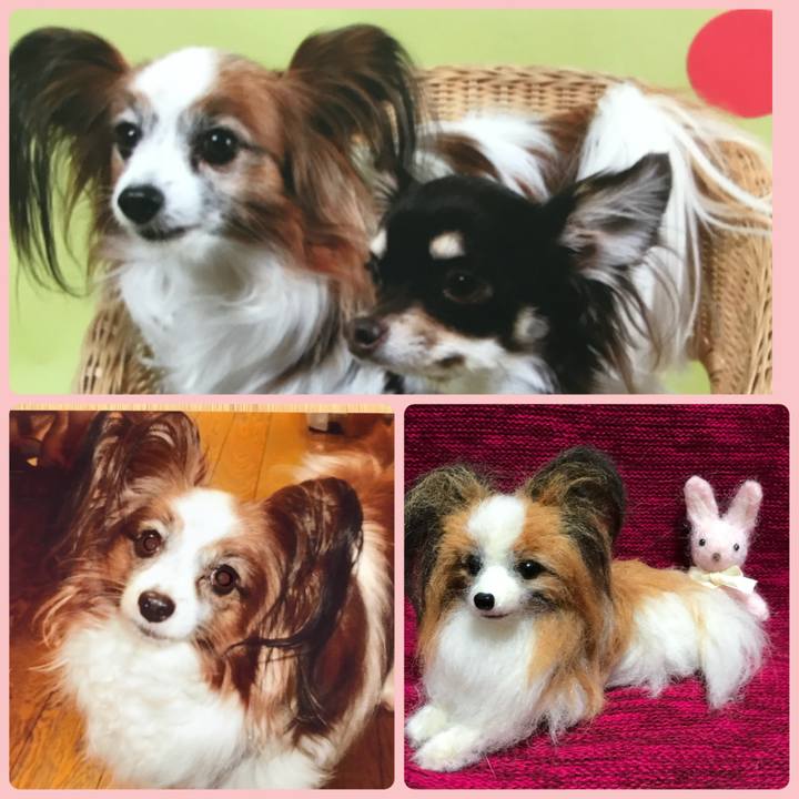 37219fe6 3b86 4009 9de0 d0b493cfd366 1703218396947