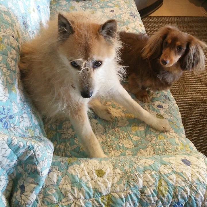 3721c7b2 2f1e 4916 b14d 3b3e36775293 1519023109627