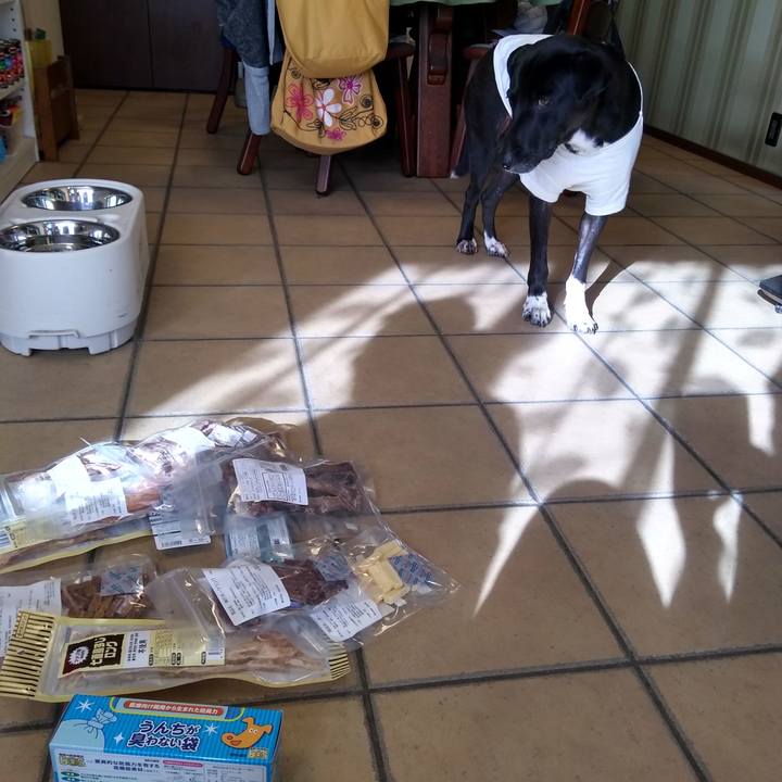 3721d196 5f12 401e b477 6a3ed9cae18d 1606560867497