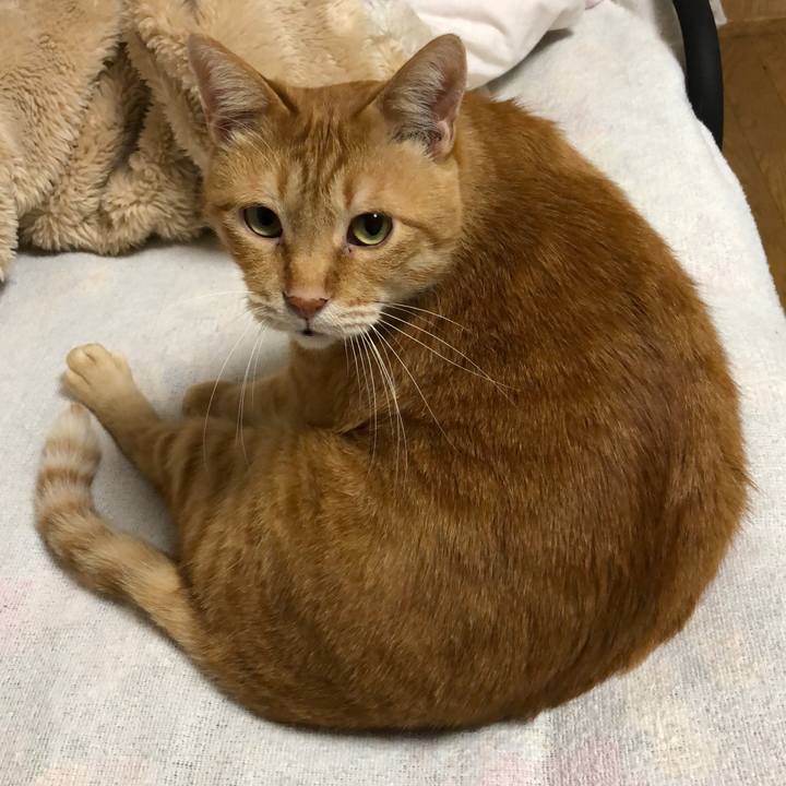 3721f30a f001 42f5 9e75 3aca7bd7c957 1605185687505