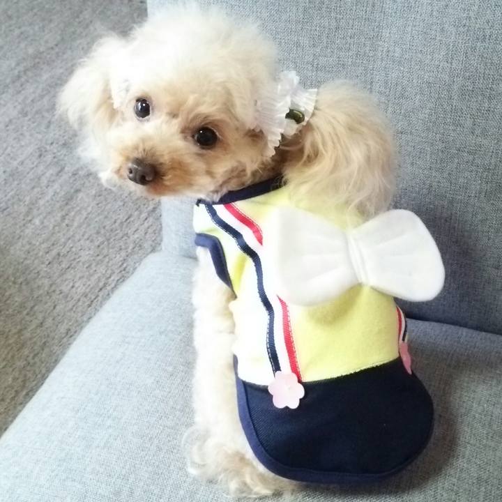 3721f575 36cb 4939 84cb b7461fccf990 1549009434417