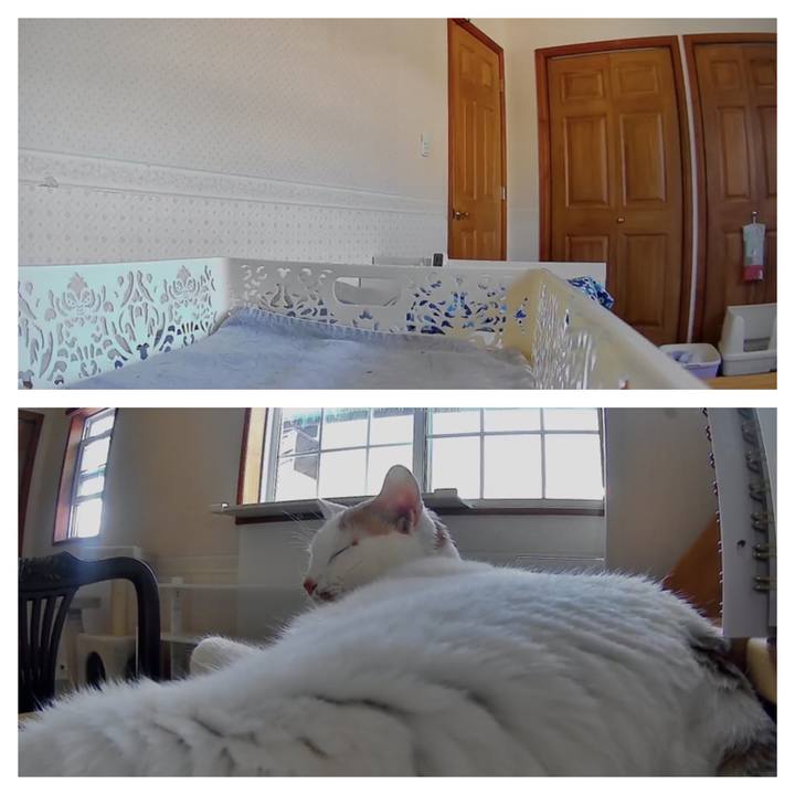 37222864 868d 41da aa9d 05eb28067fcb 1656416381529