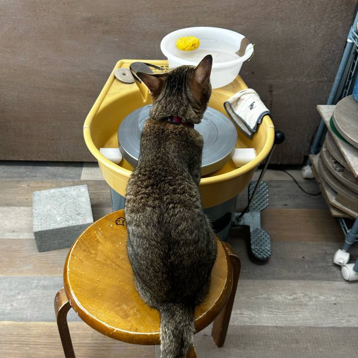 37225635 5747 44f7 9876 c51942eba96b 1759649425042