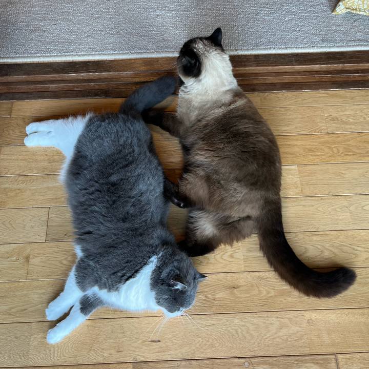 37227abe 07e9 4c30 aa53 e779fdc234a2 1716082048924