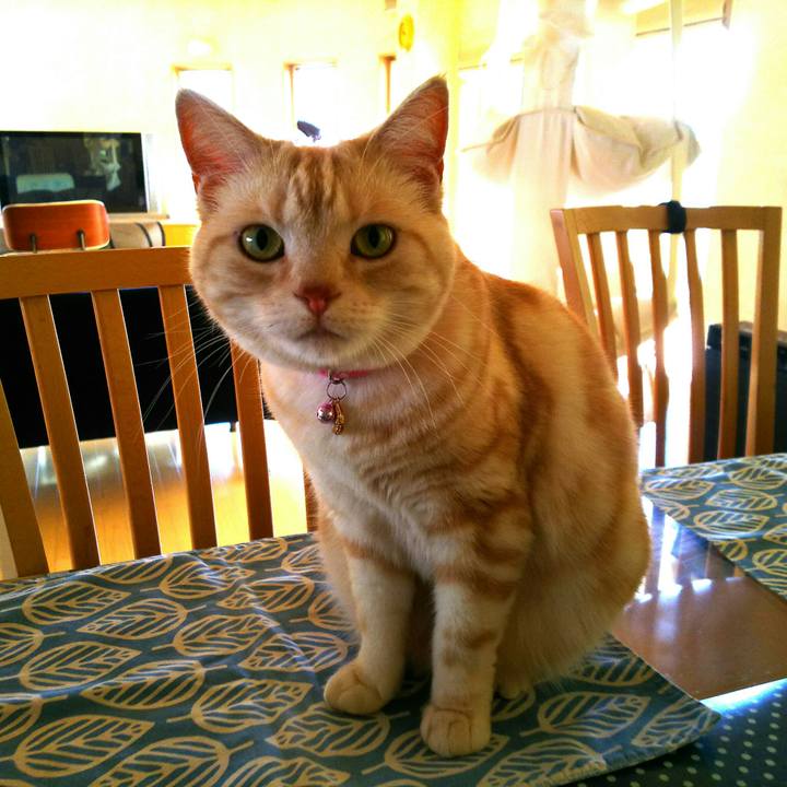 37228135 04f0 4413 978d 57ed730de67f 1522889713034