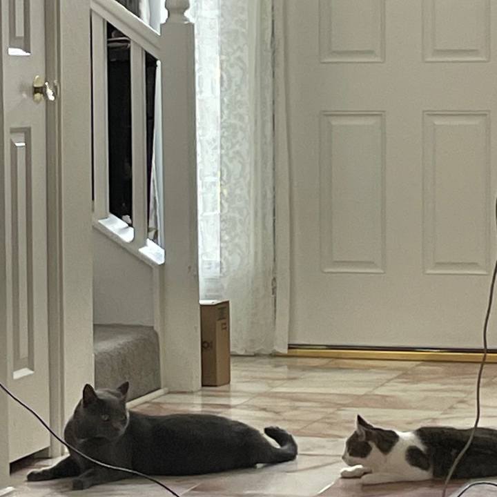 37228528 41c2 47b8 a2b3 328345904e82 1703134616795