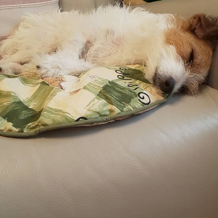 3722bbb0 cfc8 4042 bb47 488fabbba841 1628953315947