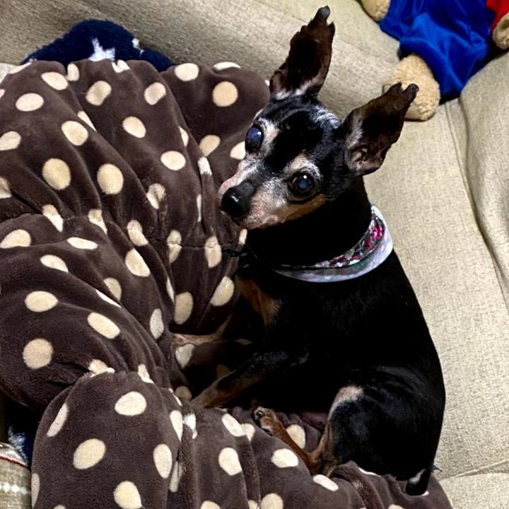 3722e817 41c0 46be 954f 4721f75c9261 1580911137619