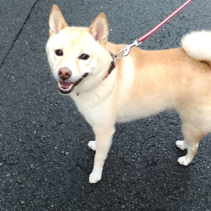 37236275 2d4d 46d2 8b1e c43a1d4a2344 1602458084617