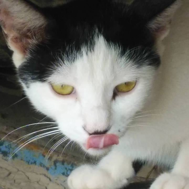 372371b8 8ea9 4b94 b496 9398b517fcf5 1593733881911