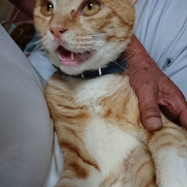 3723a8b3 0395 4788 9bf0 a8656ce2d6df 1562465412756