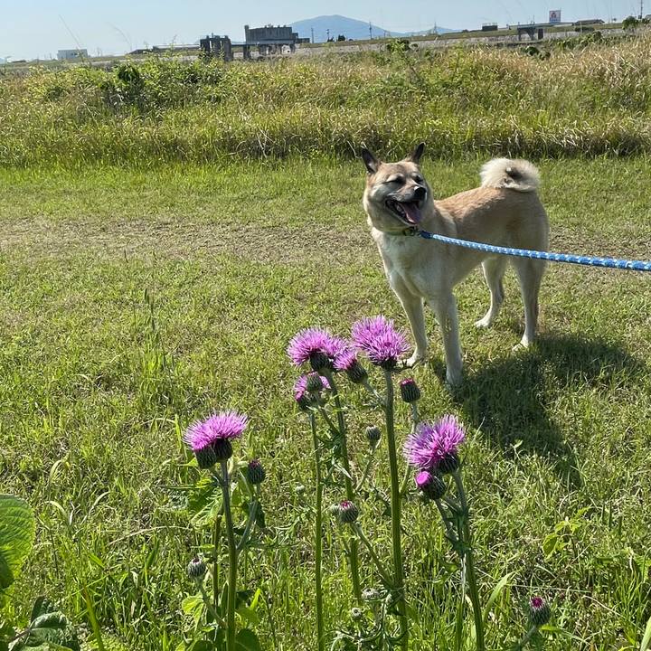 3723a952 eb7b 45e0 88d5 2c113f971d32 1651577876069