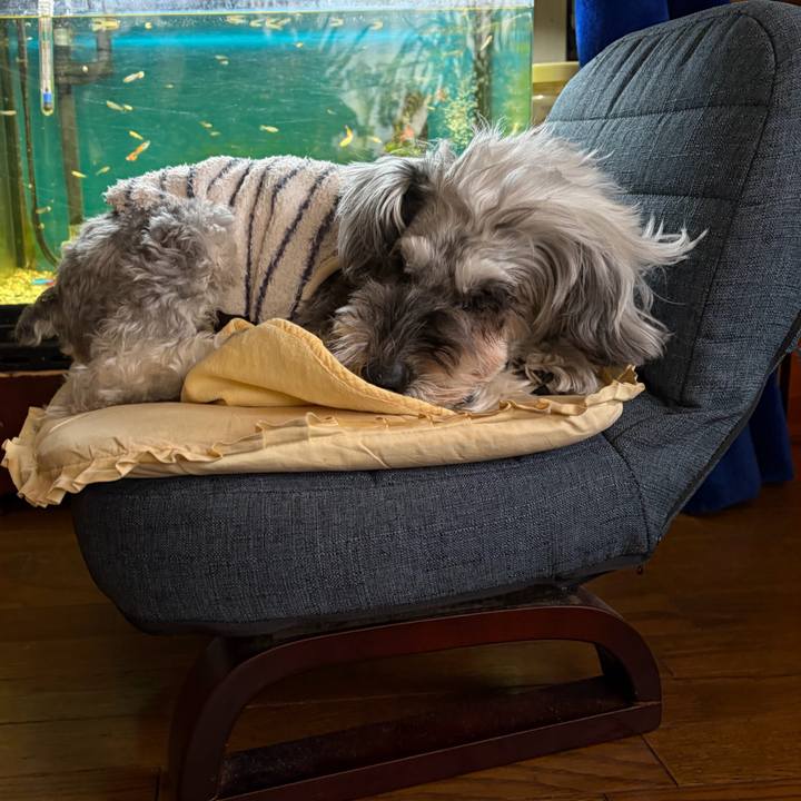 3723ece1 0de5 452d 8d17 bf38f36deb74 1771071713691