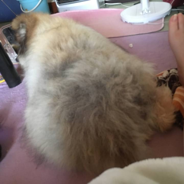 37242e63 e7fe 4a5c 931c 8e2dcbc474a1 1575330990679