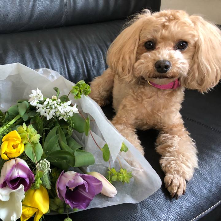 37243942 3d97 41fc a83d 3e104e3be4e9 1615046065910