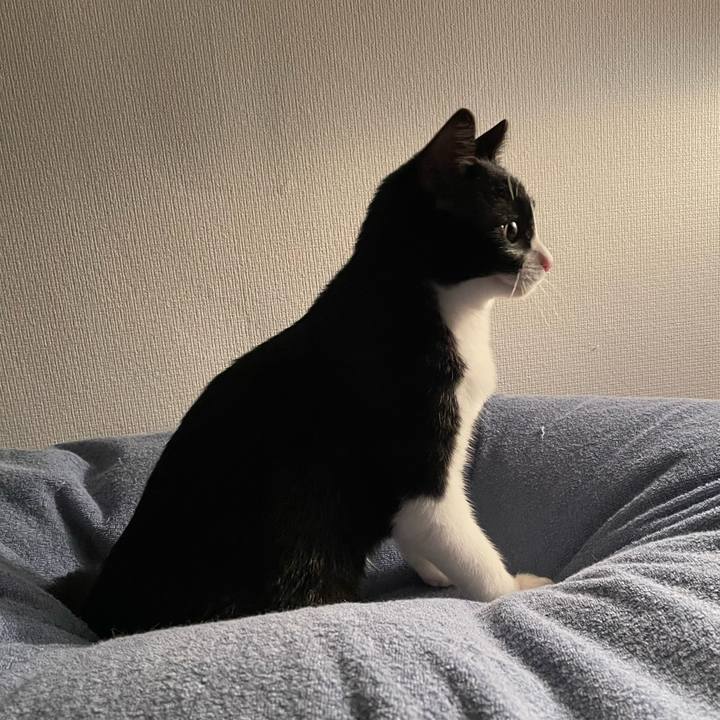 37246632 0dde 48b7 acd6 e711571a82e2 1704641793501