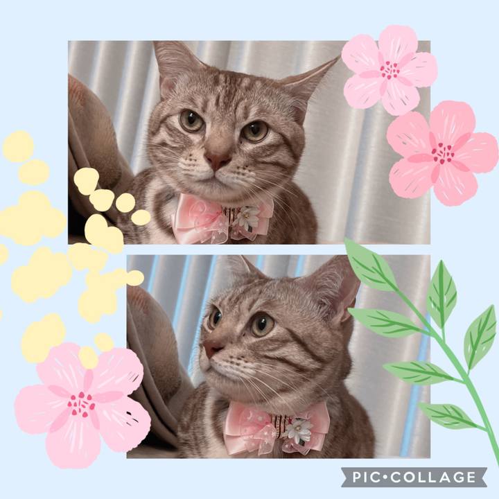 37246c12 b517 46f9 9c15 b1f4c2e59347 1680260904120