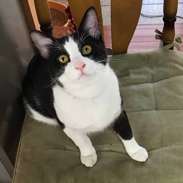 372475ba 0e16 42eb b0fc 9b7d30aa0f9f 1636677712481