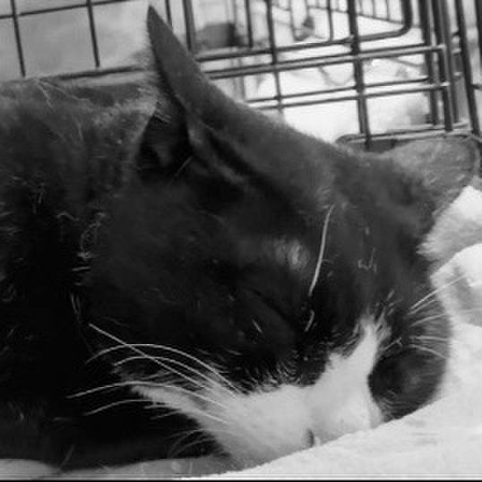 3724b54b 6c78 4a76 af36 0748ff391d53 1747655440217