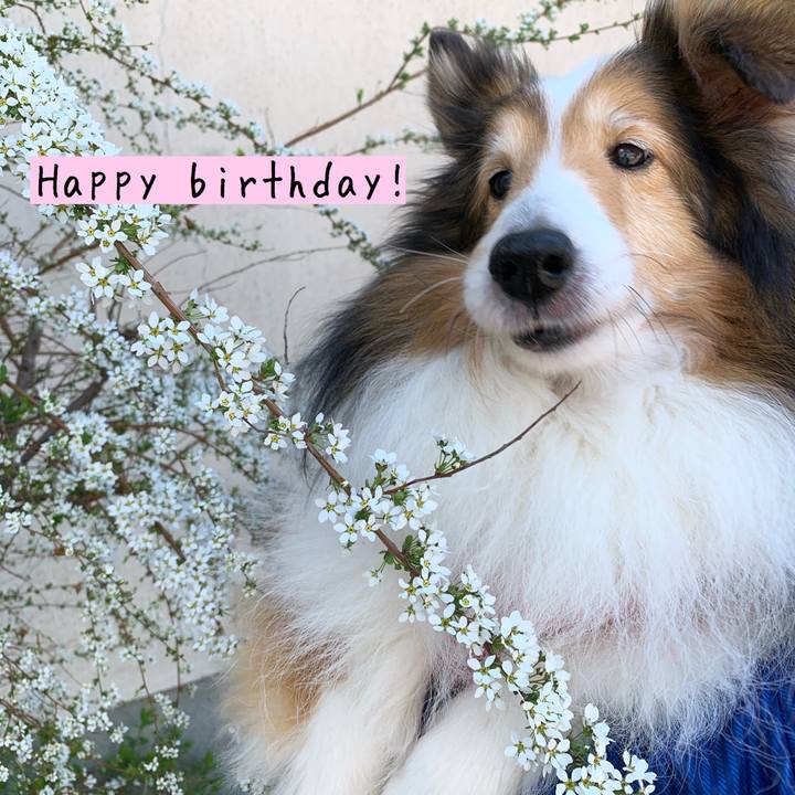 3724cfe3 9c34 4bab b134 7c8a97ed4665 1589872672733