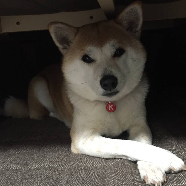 3724d22d b3ab 472d bceb fbcc30dd5d4d 1517876049370