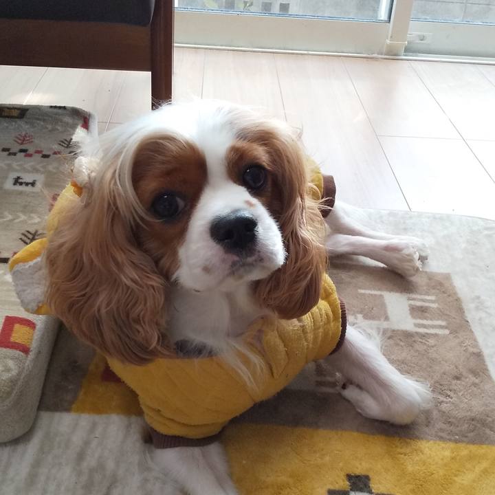 3724f700 419c 46ec b127 a5a68a27c234 1603865422931