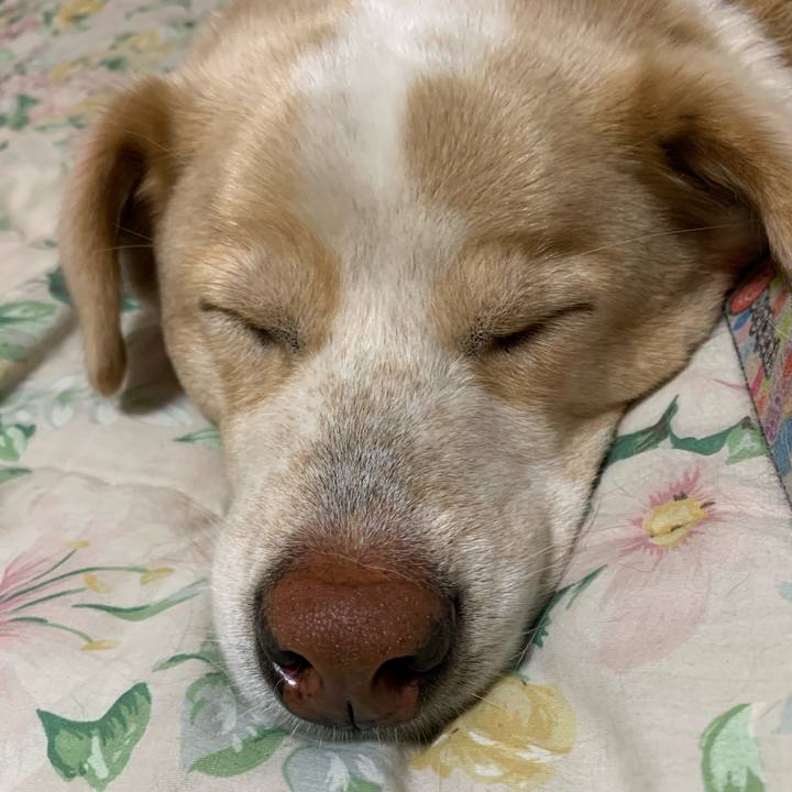 3724f7df 2a4c 4a71 a4be aea53d9faa45 1560697724985