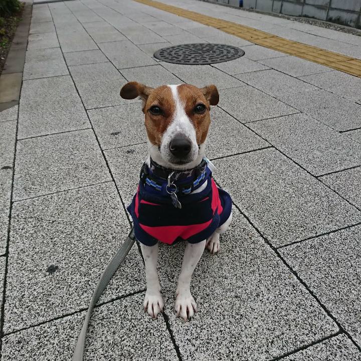 372538f4 7ccb 492c 8ace 54e0e553a8a2 1538180572012