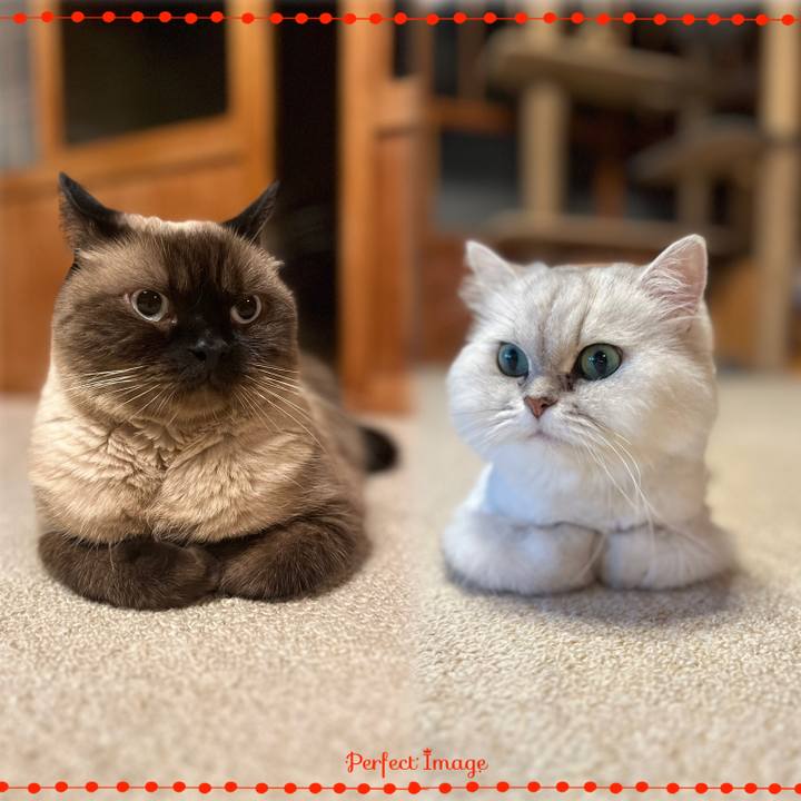 37254a38 3b0a 48e7 b510 5215c43b6e0d 1695295558364