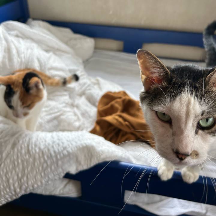 372568fe b447 48c0 8afc 352b3754a471 1719923436937