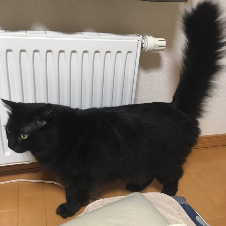 3725752b eab1 40db bf6c 29f37e7d3622 1531578962558