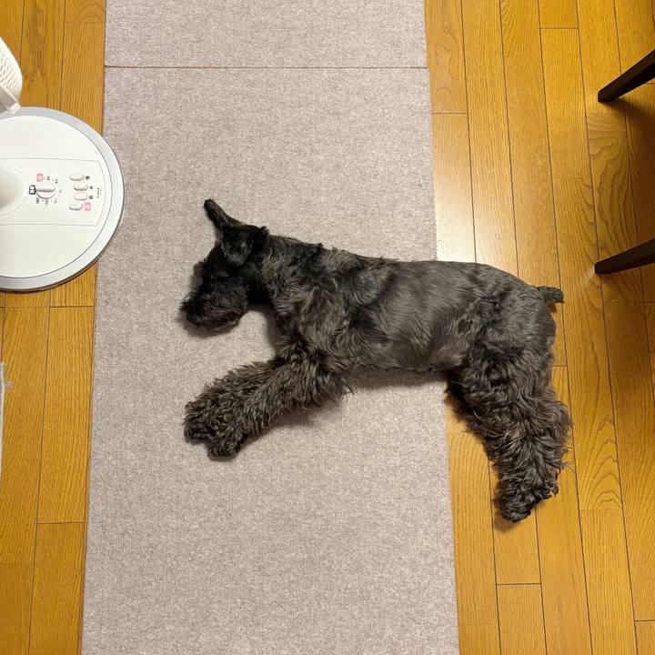 37259ae6 92b6 4d73 97e0 f53c0432aed1 1752358975541